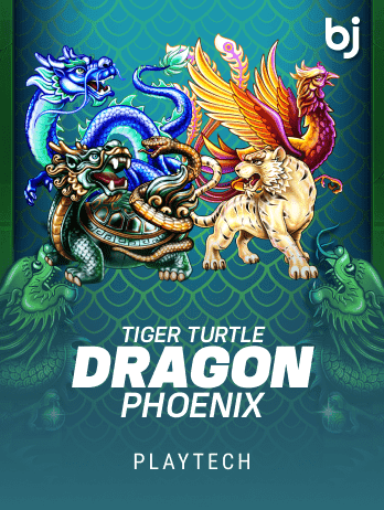 Tiger Turtle Dragon Phoenixpng screenshot